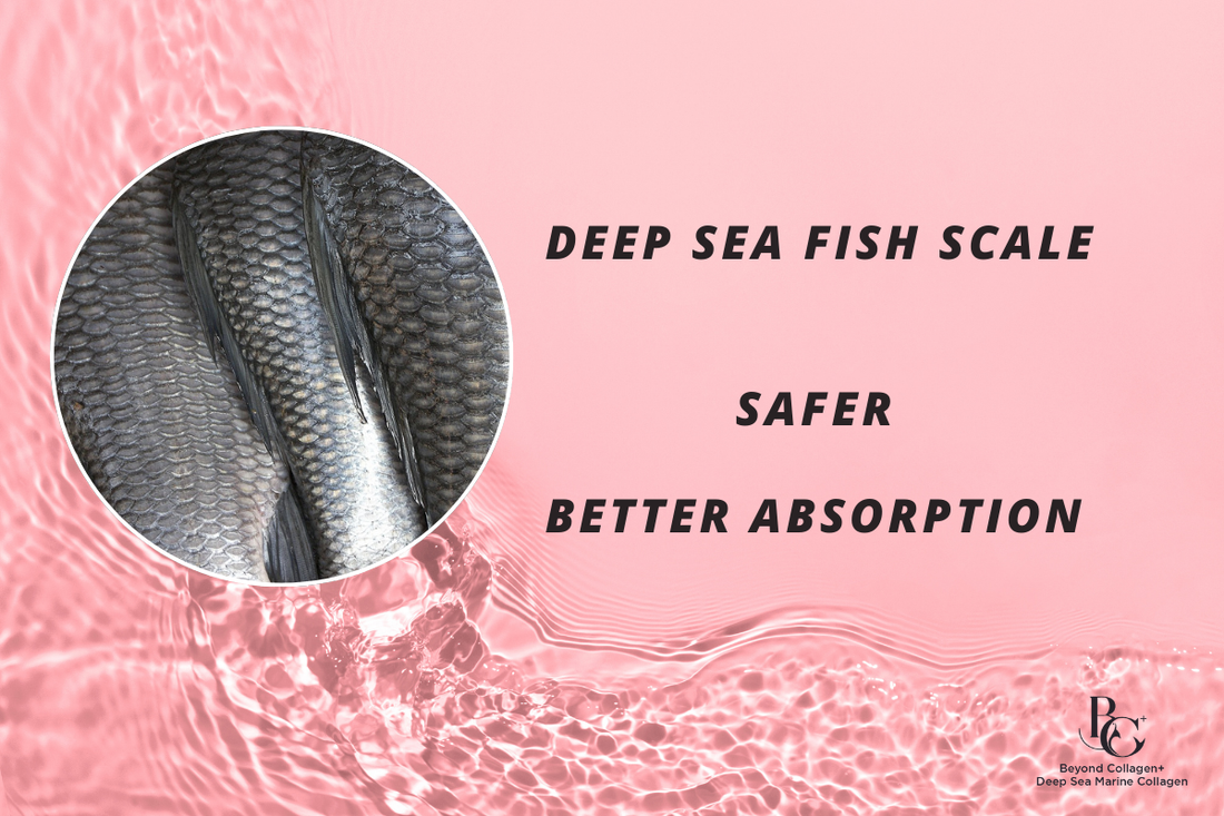 The Ultimate Guide to Fish Scale Collagen: Benefits, Uses, and Why It's Popular in Malaysia and Singapore