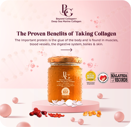 collagen is the important protein like a glue of the body and is found in muscles, blood vesslets, digestive system, bones & skin.